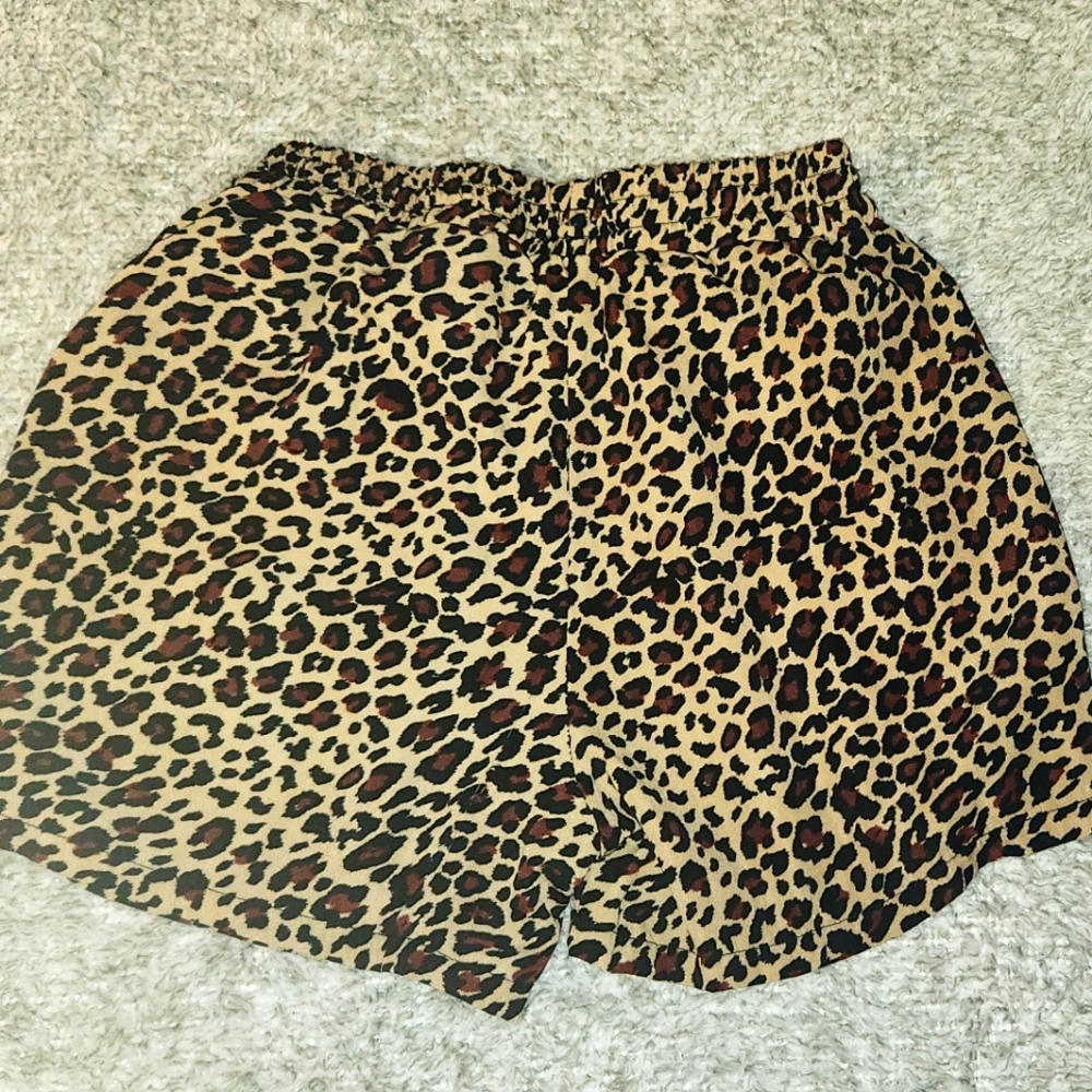 Faded Glory Shorts